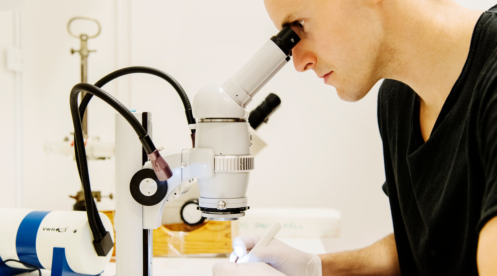 Forskare vid mikroskop