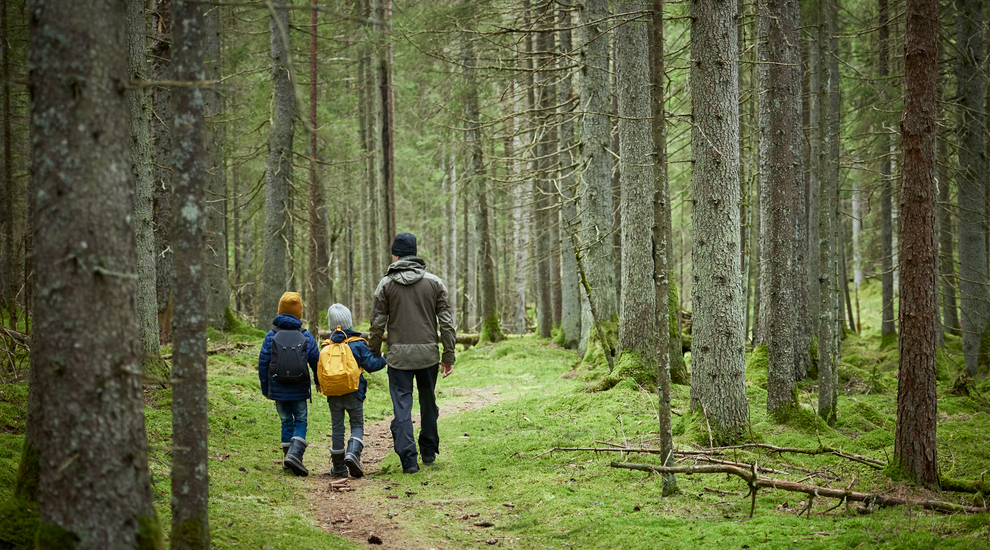 Pappa med barn i skogen